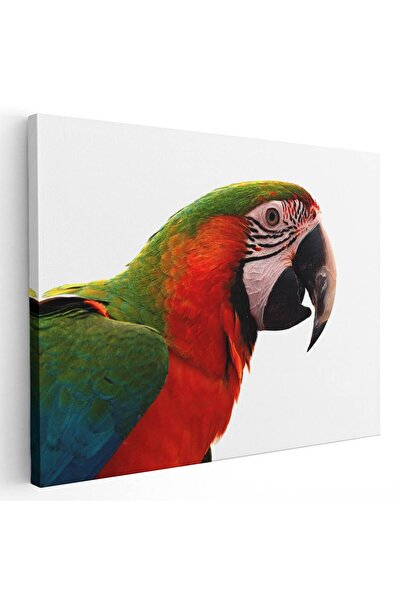 Tablou Canvas Tablou pasare papagal Ara, cod 5255