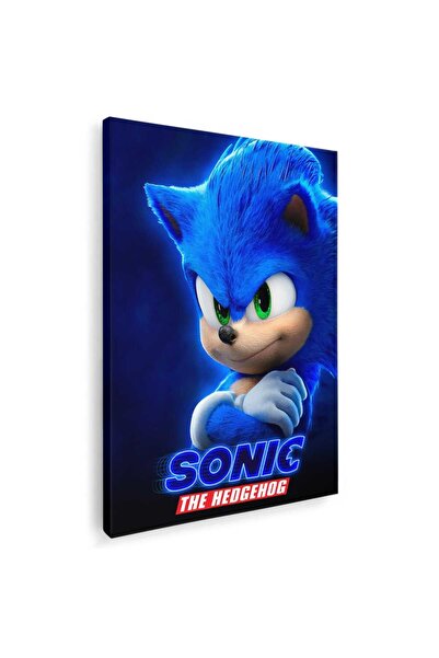 Tablou Canvas Tablou Sonic Ariciul, cod 3649