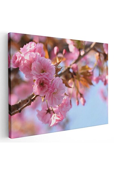 Tablou Canvas Tablou flori de copac inflorit primavara, cod 2665