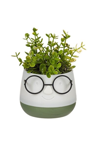 ANTBRO Ghiveci decorativ, model față zâmbitoare, bej și verde, plantă artificială