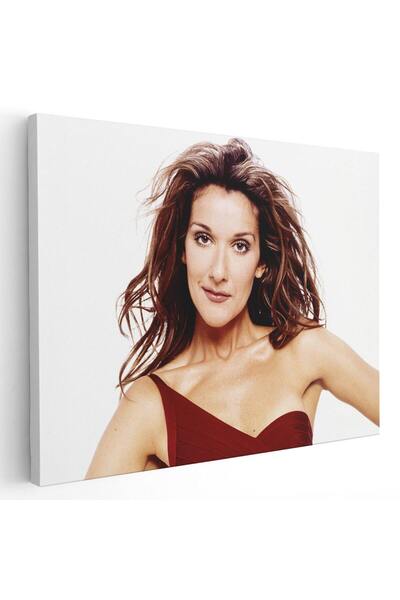 Tablou Canvas Tablou Celine Dion cantareata, cod 2265