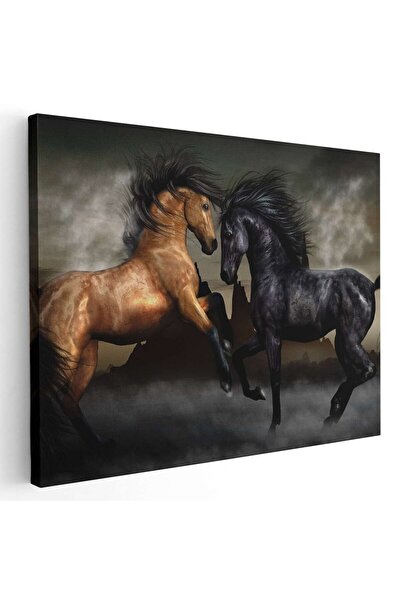 Tablou Canvas Tablou doi cai magnifici confruntandu-se, cod 5283