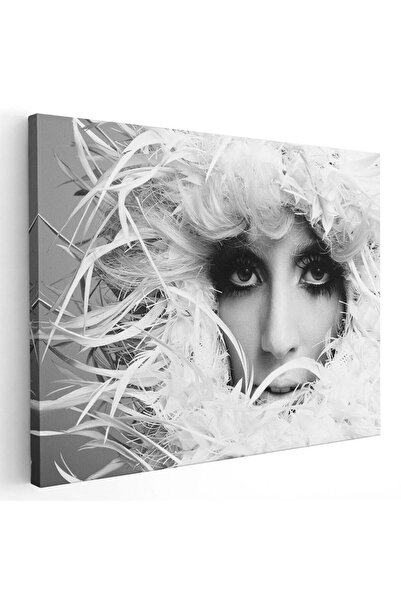 Tablou Canvas Lady Gaga cantareata, cod 2268