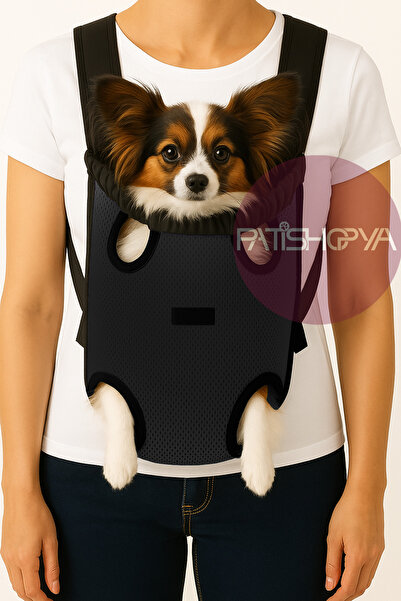 PATİSHOPYA Küçük Irk Kedi Köpek Taşıma Çantası Ön Askılı Ana Kucağı File Kuma...
