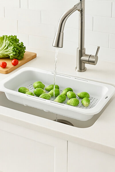 Nesto Home Height Adjustable Over-Sink Vegetable and Fruit Strainer