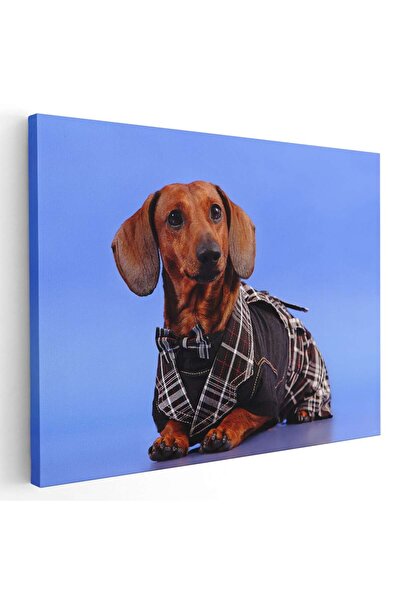 Tablou Canvas Tablou caine Teckel in costum, cod 4166