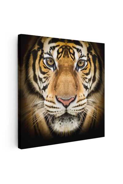 Tablou Canvas Tablou portret tigru bengalez, cod 3231