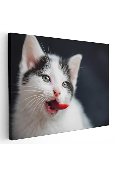 Tablou Canvas Tablou pisica cu limba scoasa, cod 4196