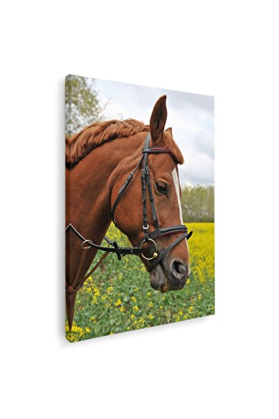 Tablou Canvas Tablou cal brun roscat (roib), cod 3056