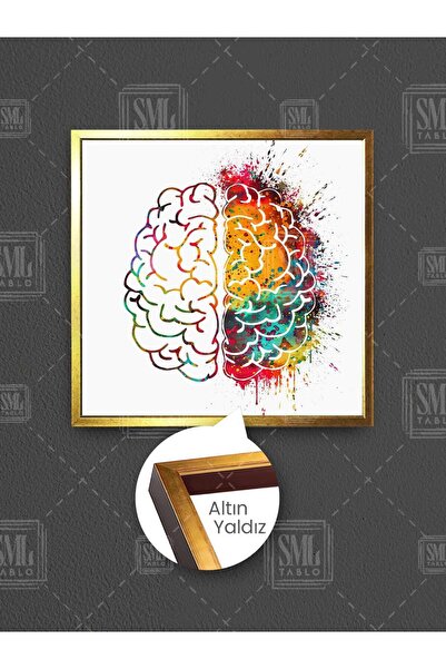 SML TABLO Πολύχρωμος πίνακας τέχνης σε καμβά με κορνίζα, με θέμα τη νευρολογία του δεξιού και του αριστερού εγκεφάλου, νευρολόγος, εξέταση, διακόσμηση