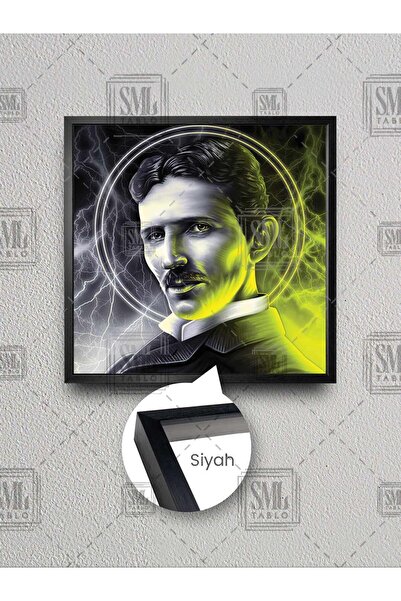 SML TABLO Nicola Tesla, fizician, inginer electric, inventator, om de știință, pictură pe pânză pătrată înrămată