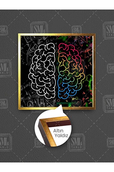 SML TABLO Mozak Desna i Leva Strana Linearna Emocija i Logika Neurologija Ura...