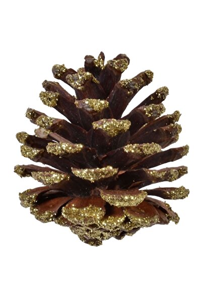 SHOPIENS Set conuri decorative, 20 buc., din lemn, culoare aurie, dimensiune 5 cm