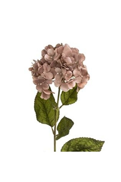 SHOPIENS Floare artificială cu tulpină lungă Hortensie Mocca 70 cm