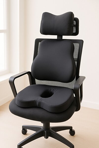 PİLLOWART Orthopedic Pillow Set, Set of 3 That Provides Lumbar, Neck and Hip Support