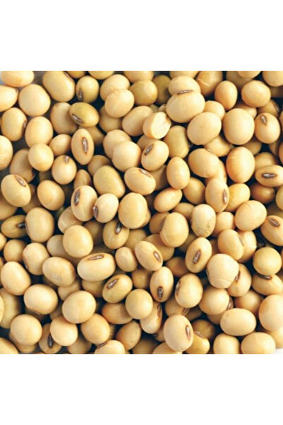 Natural فول الصويا الخام 1 كجم × 10