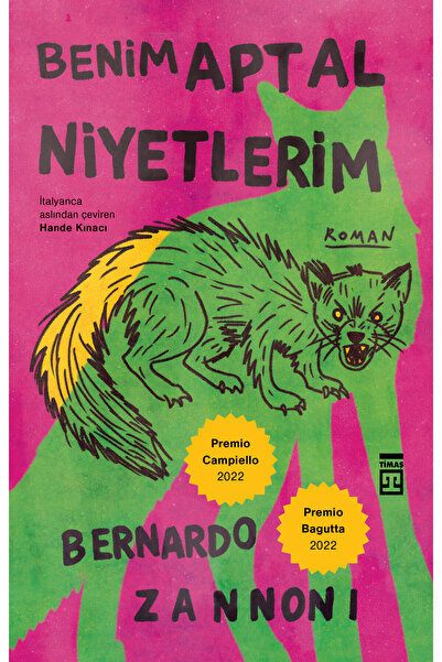 Benim Aptal Niyetlerim