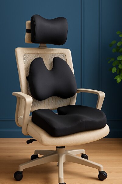 PİLLOWART Ergonomik Ofis Sandalye Minderi Seti | Bel, Boyun ve Oturma Desteği...