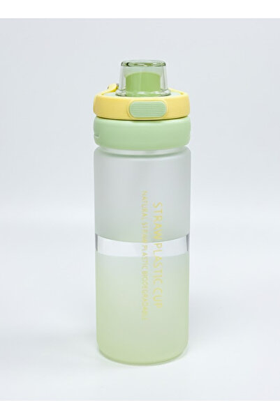 Bisbell 550ml Frosted Straw Water Bottle | BPA-Free | Leakproof Gym Office Drinkware,BB4052G