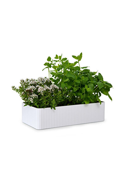 Tchibo Spice Storage Box