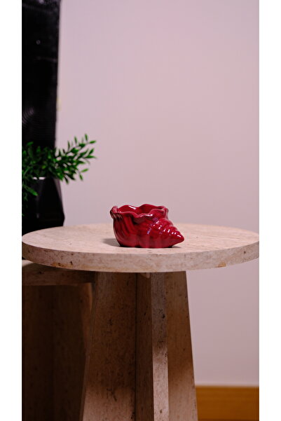 Psymera Hobi Atölyesi Deniz Kabuğu Dekoratif Tabak – Takı, Anahtarlık ve Muml...