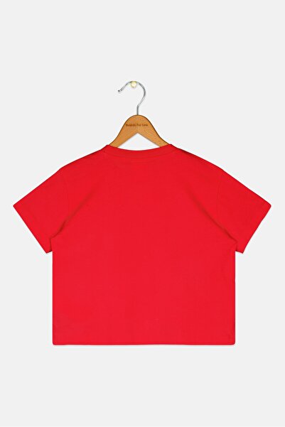 Champion Toddlers Girl Crew Neck Brand Logo Short Sleeve T-Shirt, Red