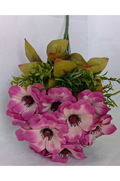 R&F شقايق النعمان