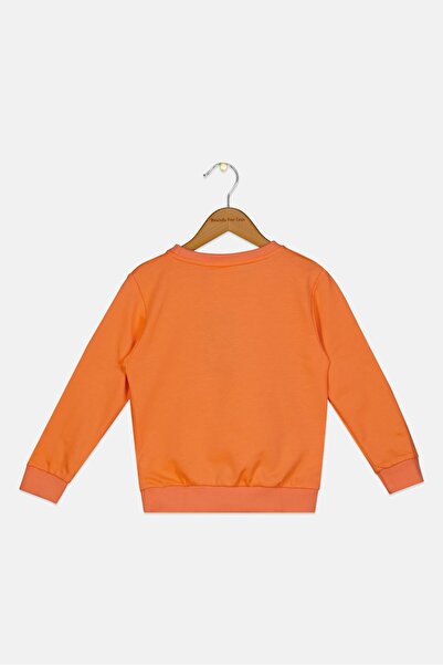 Marvel Toddlers Boy Iron Man Graphic Print Long Sleeve Sweatshirt, Orange