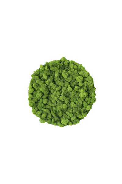 Narium Cerc din licheni 30 cm