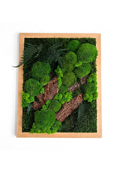 Narium Ramă din mușchi stabilizat 50x40 cm