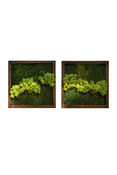 Narium Rame decorative din mușchi 40×40 cm