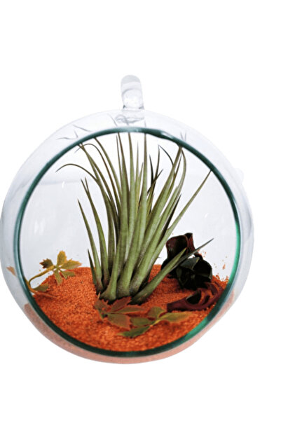 Narium Terarium „A venit toamna”