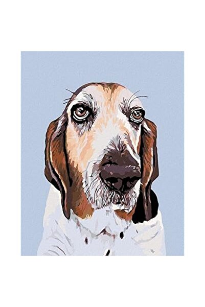 ZUTY 764223 Pictură pe numere, Toate, 80 x 100 cm