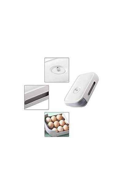 Doty Egg Container with Date Display, Holds 19-21 Eggs, Plastic, White, 32x21x8 cm,