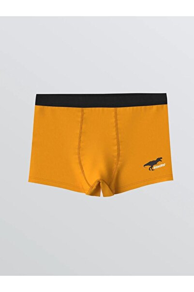 LC Waikiki Printed Boys' Boxer 3-Pack (W5)