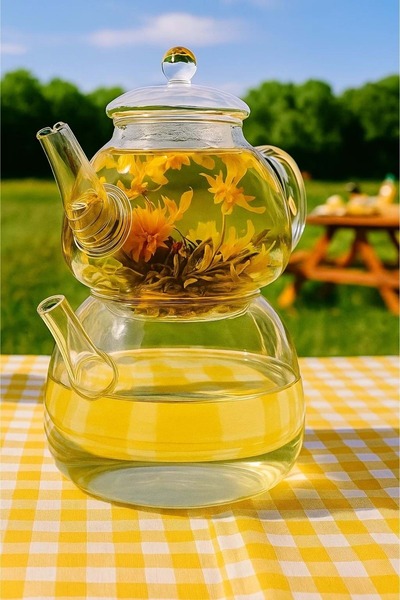 Jenisa Heat Resistant Glass Teapot Set with Strainer – Borosilicate Glass Top Teapot and Bottom Water Reservoir