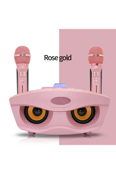 Generic Household KTV 2-in-1 Portable Karaoke Wireless Speaker with Dual Microphones Owl Speaker