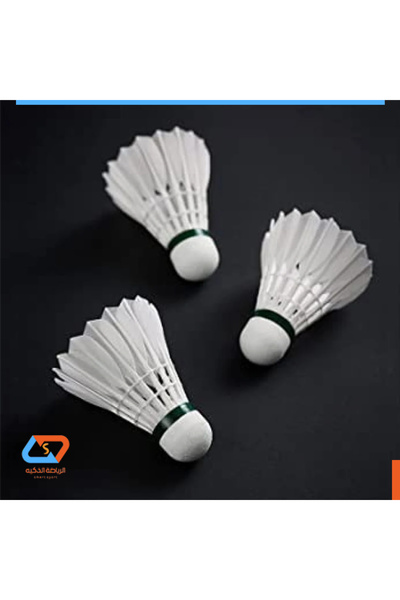 smart-sport TRYON Badminton Shuttlecock Mushroom Head Plastic BT-110