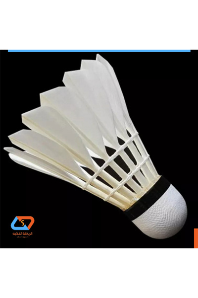 smart-sport TRYON Badminton Shuttlecock Mushroom Head Plastic BT-110