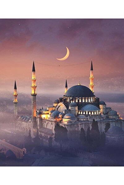 Dialands Mozaik Süleymaniye Camii 46X53CM