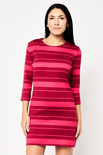 Lacoste Women Embroidered Logo Mini Dress, Multicolor