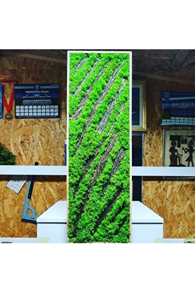 Narium Pictură cu mușchi 100x30 cm