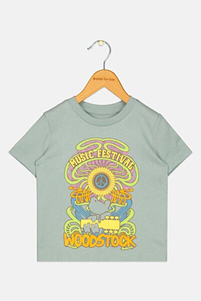 GAP Toddlers Boy Short Sleeves Graphic Print T-Shirt, Sage Green