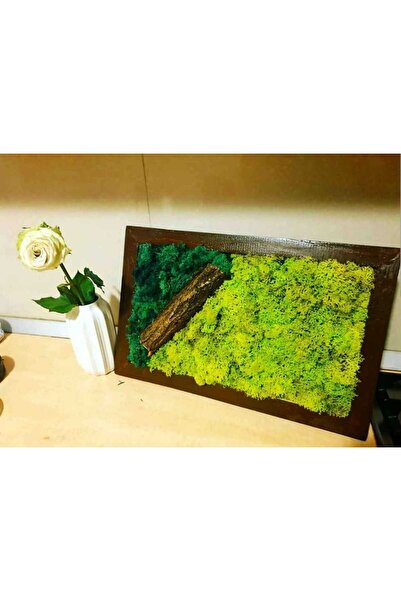 Narium Tablou cu licheni 40×30 cm