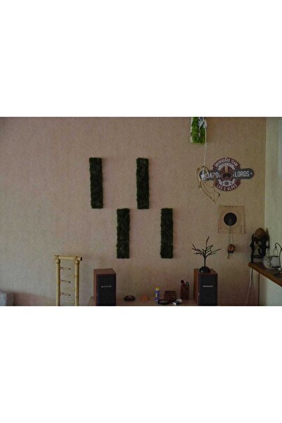 Narium SET tablouri mușchi 50×15 cm