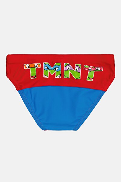 ARENA Kids Boy Graphic Print Swim Briefs, Multicolor