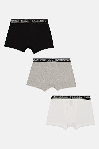 Jurassic Park Kids Boy 3 Pieces Graphic Print Boxer, Multicolor