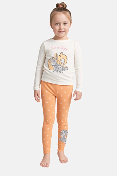 Sinsay Toddlers Girl 2 Pieces Long Sleeve Pyjama T-Shirt And Pants Set, Multicolor