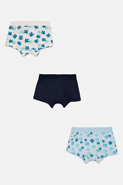 Jurassic Park Kids Boy 3 Pieces Allover Print Boxers, Multicolor