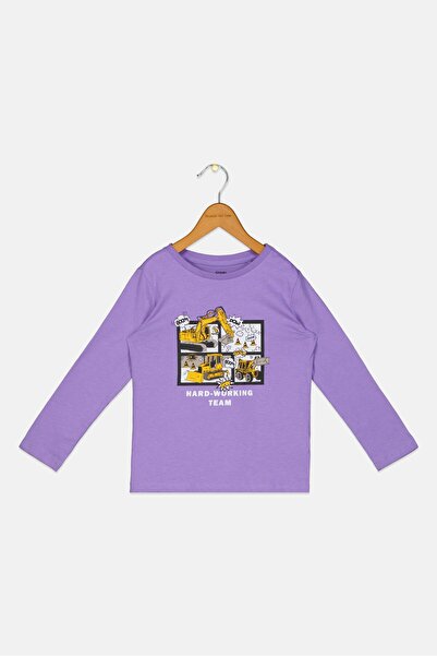 Sinsay تي شيرت بأكمام طويلة مطبوع عليه رسوميات للأولاد الصغار، لون لافندر